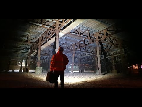 youtube - [Video]