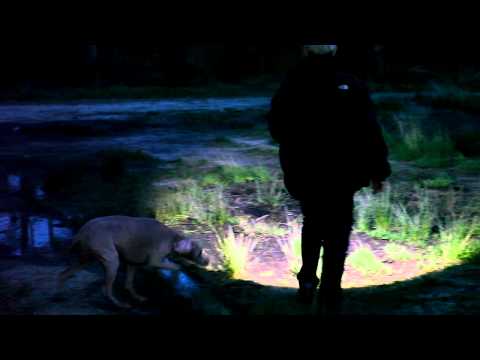 youtube - [Video]
