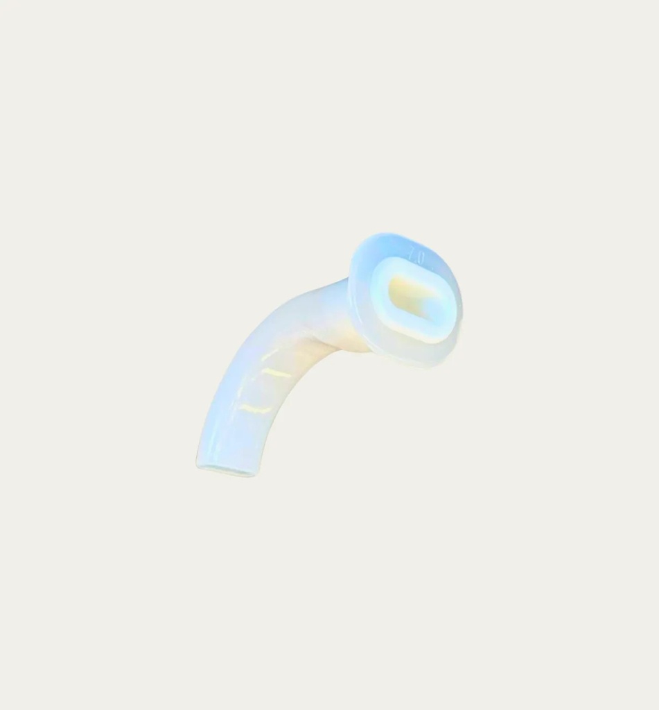 [1178] Oropharyngeal Airway (1)